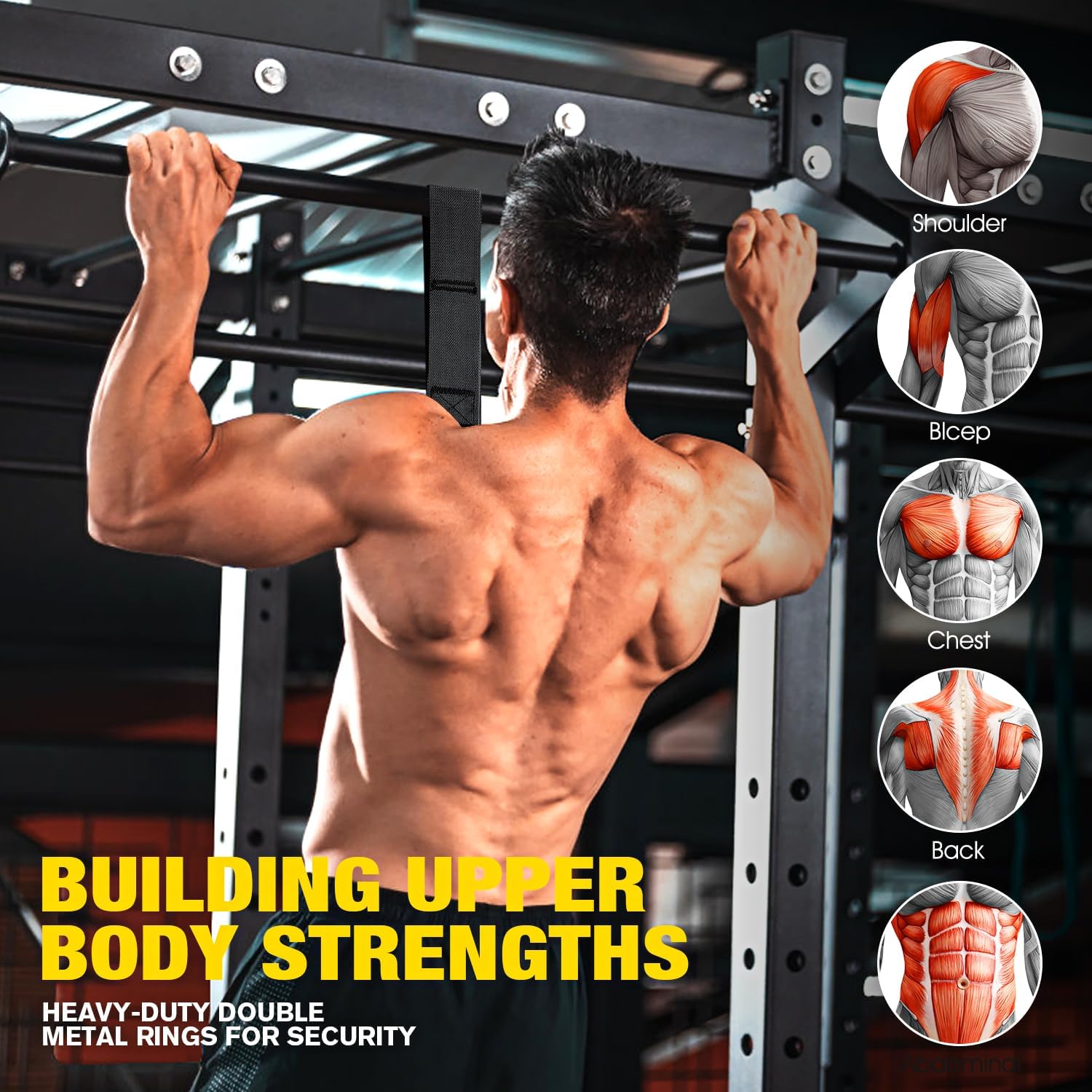 Fittona resistance band set for assisted pull-ups, rows and mobility work